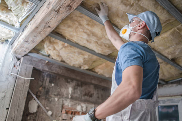Best Insulation Maintenance and Repair in Clayton, NC